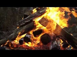 Beautiful bonfire live flame smoke sparks noise #video