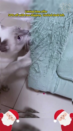 Cat owners, take note! Don't wait to get these cat-scratch guard strips. They come with adhesive backing—just peel and stick them on your cat's favorite scratching spots. Waterproof and stain-resistant surface, so no worries if your cat makes a mess on them. Removes cleanly without leaving residue, and can be cut to any size you need. #CatCare #SofaProtection #ScratchGuard #NewCatOwner #TikTokShopHolidayHaul