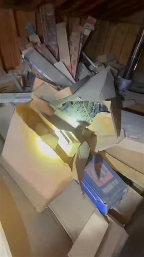 Nick Bealer on Reels