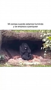 Chile fuma verde on Reels