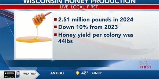 Production of honey drops in Wisconsin