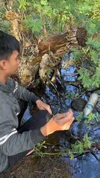niat mancing bulus malah dapat Toman besar #cariikan #ikan
