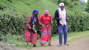 116K views · 7K reactions | Some Tft Ya isuanet ma. Gogo Small Bot Chebilet | Brobox | Facebook