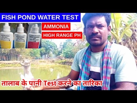Fish Pond Water Test | Ammonia and PH Test | मछलिओं के तालाब का पानी टेस्ट कैसे करे | Village के MBA