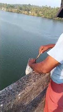 കണമ്പ് പിടുത്തം. കുപ്പിയിൽ കണമ്പ് പിടിക്കുന്നത് കണ്ടാലോ #shortvideo #fishing #beach #shorts #reels