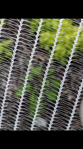 Best Hail Protection for Gardens If you live in an area that is hail prone, such as the front range of Colorado (also known as hail alley), then you know that you want to protect your garden from hail storms. Don't worry, hail happens – but there are real ways to provide hail protection for your garden. Learn more about the best garden hail-protection techniques: https://www.sandiaseed.com/blogs/news/hail-protection-for-garden | Sandia Seed Company