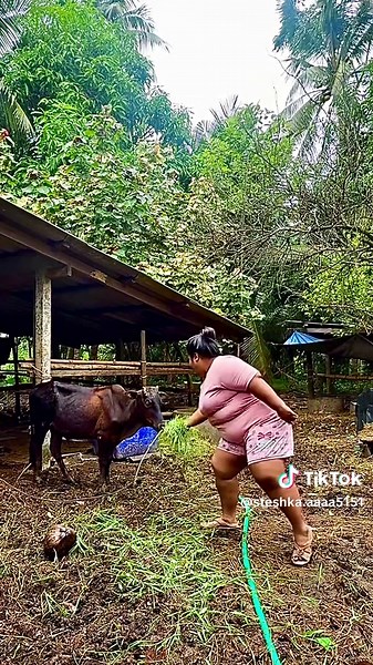 Gata Only: Hilarious Moments and Funny Clips