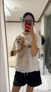 어디까지크는거에요? #mypet #pet