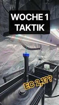 Die RDWC Taktik für WOCHE 1 | EC • VPD • Silica