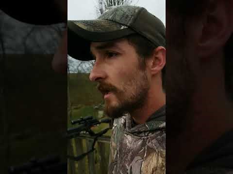 Barnett whitetail hunter str review