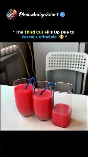 Pascal's Principle I SIGMA PHYSICS TEACHER 🗿