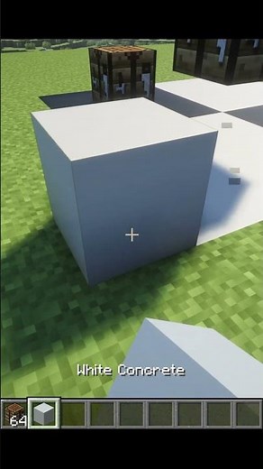 Optical illusion in minecraft😮😮Playboi Carti OLYMPIAN