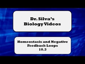Homeostasis and Negative Feedback Loops – 10.3 – Biol 189