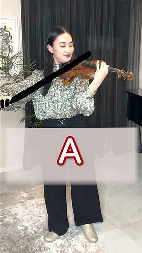 【格付けチェック】わかりますか？ 高級バイオリン弓vs激安弓【part1】#violin