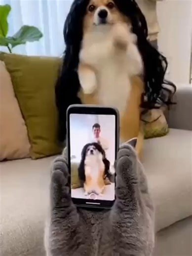 AI Brings Pets to Life in Hilarious Dance Showdown