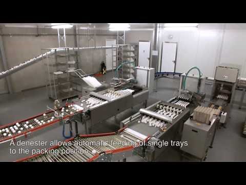 [EN] Egg packing and grading systems