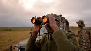 Thousands of elephants are killed every year for their ivory. Stand with WWF to help protect these precious animals and stop wildlife crime. | World Wildlife Fund