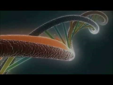 The Spark of Life - Life Begins at Conception