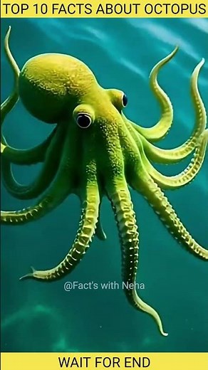 "Top 10 Amazing Facts About OCTOPUS 🐙 !" You won't Bileave It! Top 10 Mind-Blowing Facts!"