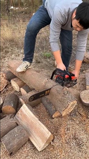 Powerful Chainsaw Cutting Big Wood Logs | Satisfying Wood Cutting