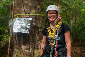 Keeping Kauri safe from climate change