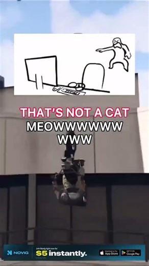 MEOW 😺