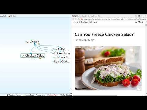 TheBrain: Notes and Attachments Tutorial