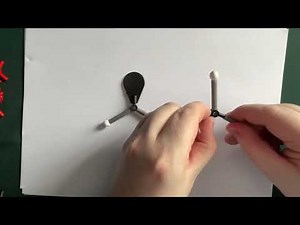 Trigonal Planar EPG Model Building Guide