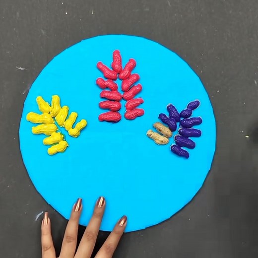 Reusing Peanut for wall decor #peanut #reuse | Meggan J. McGowan