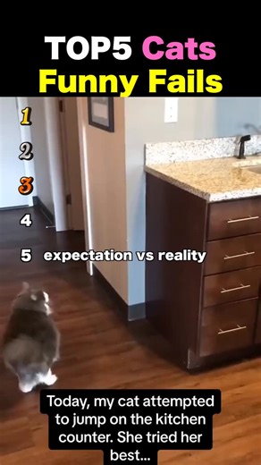 PetsRanking on Instagram: "In This Video, We Present Viral Dog and Cat Videos from Around the World in a Ranking Format! Enjoy a collection of trending dog and cat videos that are currently going viral worldwide. From unpredictable happenings to surprising and unforgettable moments, please watch these videos filled with excitement and amazement. 【Safety Notice】 Some scenes in this video may include actions performed in special environments or situations that require specific skills or experience