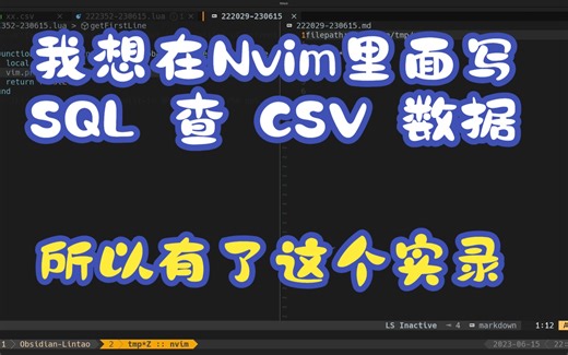 实录：Nvim 写个小命令用查 SQL 查 CSV
