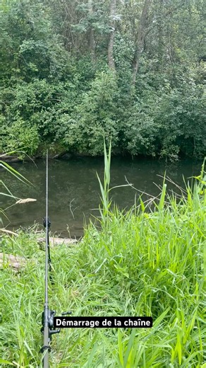 Démarrage de la chaîne pêche au rivière avec une canne et très peu de temps … #carpe #pêche #river ￼