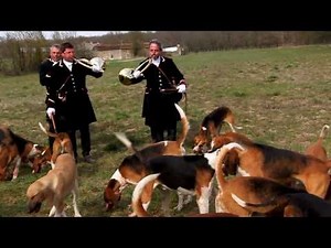 Chasse à courre au chevreuil par Le Rallye Loudunais 2011