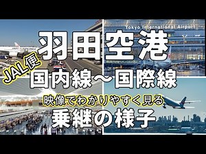 【羽田空港国際線乗り継ぎ 】第１ターミナルから第３ターミナルへの移動方法