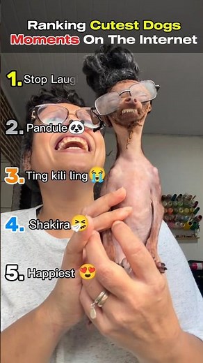 Ranking Cutest Dogs Moments On The Internet