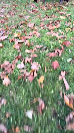 Spirit Walker Costume: Unleashing Your Scary Side