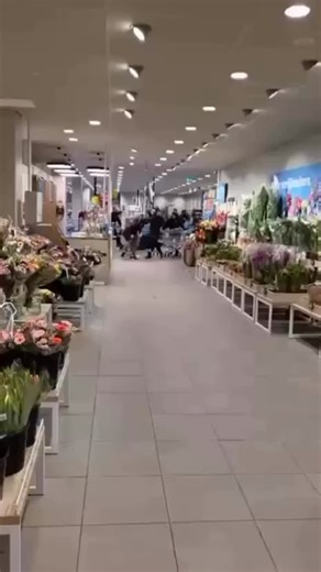 MISDAADNL on Instagram: "Man uit Dukenburg probeert in Albert Heijn op mensen in te slaan met een hakbijl en wordt aangepakt door omstanders"