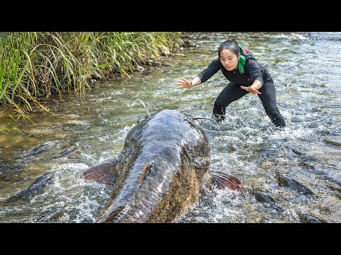 Catching 2000kg+ Huge River Carp & Giant Catfish by Hand using DIY Net Trap for Fish Market Sale