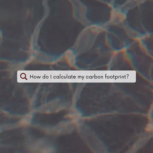 How to Calculate Your Carbon Footprint: A Simple Guide