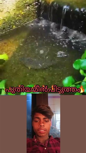 പുതിയ മീൻ പിടുത്തം#mallutraveler#fishingfreaks#shortsX#mallu #malayalam#m4tech