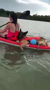 "Just my service dog chillin’ on a kayak" 😍😂 | VT