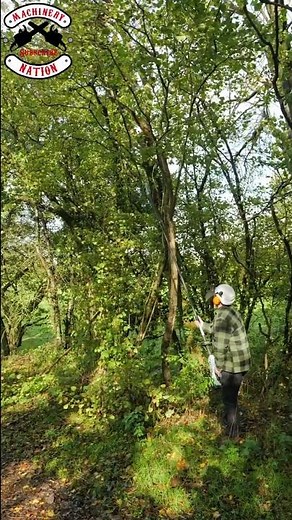 BRAND NEW EGO PS1000E Telescopic Pole Pruner!