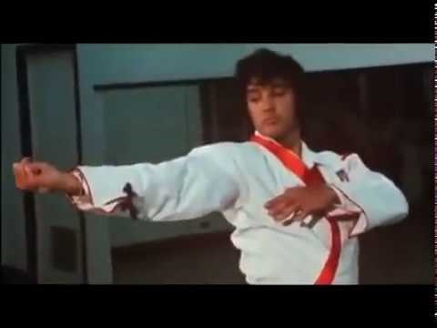 Elvis doing karate