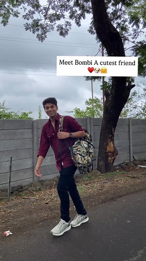 10K reactions · 671 shares | A cutest creature on earth || cute puppy & cats || puppy and dogs || paws , dog lover and cute animals ♥️ #reels #reelsinstagram #reelitfeelit #reelsindia #explore #explorepage #explorepage✨ #exploremore #puppies #puppy #puppylove #puppylife #puppyoftheday #cute #cutepuppies #lovepuppies #puppiesofinstagram #puppylove #dogs #dog #dogslife #doglovers #doggy #foryoupage #bollywoodsongs #lovequotes | ARISH WITH CUTE Animals | Facebook