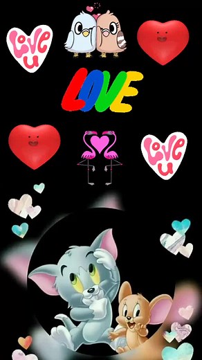 Ali Mohammed (@ali1012kacchi)’s videos with original sound - Afroj Khan 285