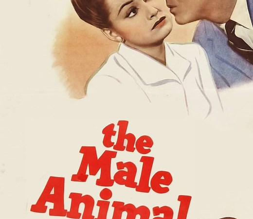The Male Animal Summary, Trailer, Cast, Where to Watch and More