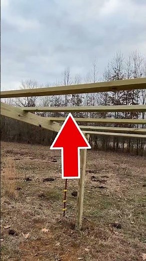 Build a Small Barn or Shed in a Day! Easy DIY Homesteading Project 🛠️🏡