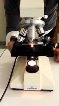 Tutoriel MicroscopeOptique
