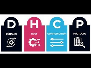 Configure DHCP on a Cisco Router | Automatically Assign IP Addresses (Step by Step)
