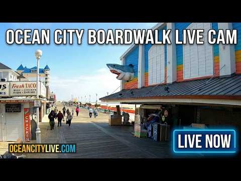 Ocean City MD Live Cam | Dolle's North View